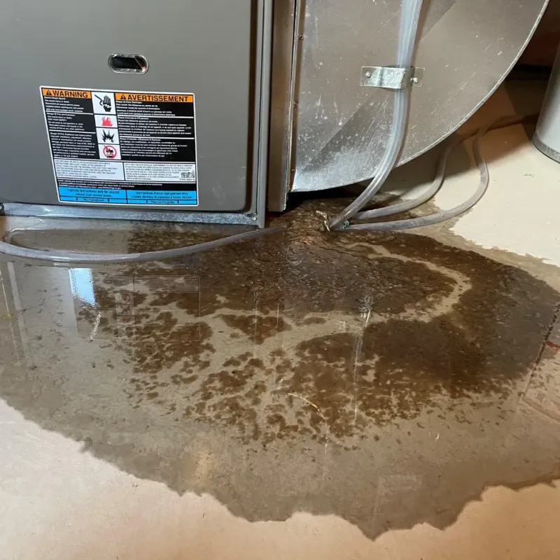 Appliance Leak Cleanup in Wailuku, HI