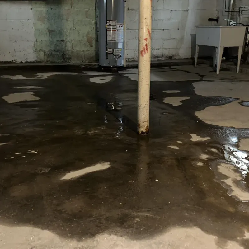Emergency Water Extraction And Removal in Wailuku, HI